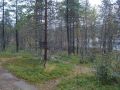 Luiroj�rven sauna