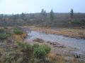 T�st� yli niin ett� heilahtaa...