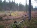 Matkalla