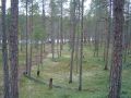Matkalla